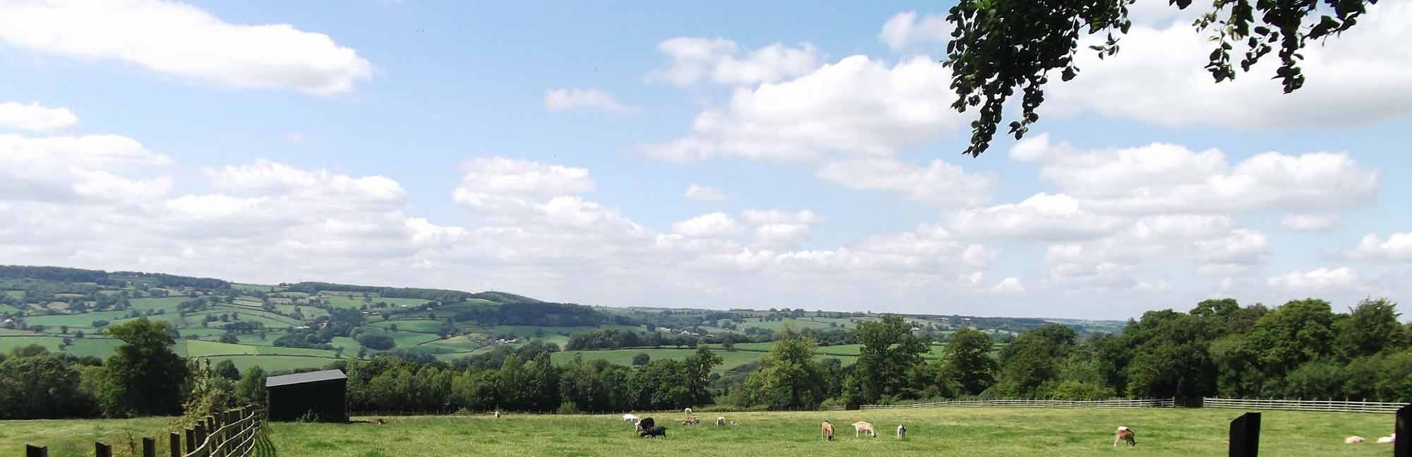 Ferne Animal Sanctuary countryside view Ferne Animal Sanctuary countryside view