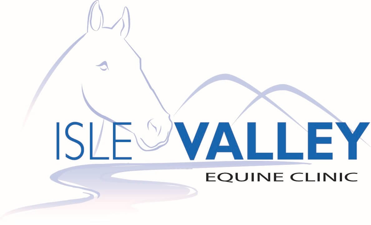 Equine Clinic colour logo colour Converted (002)