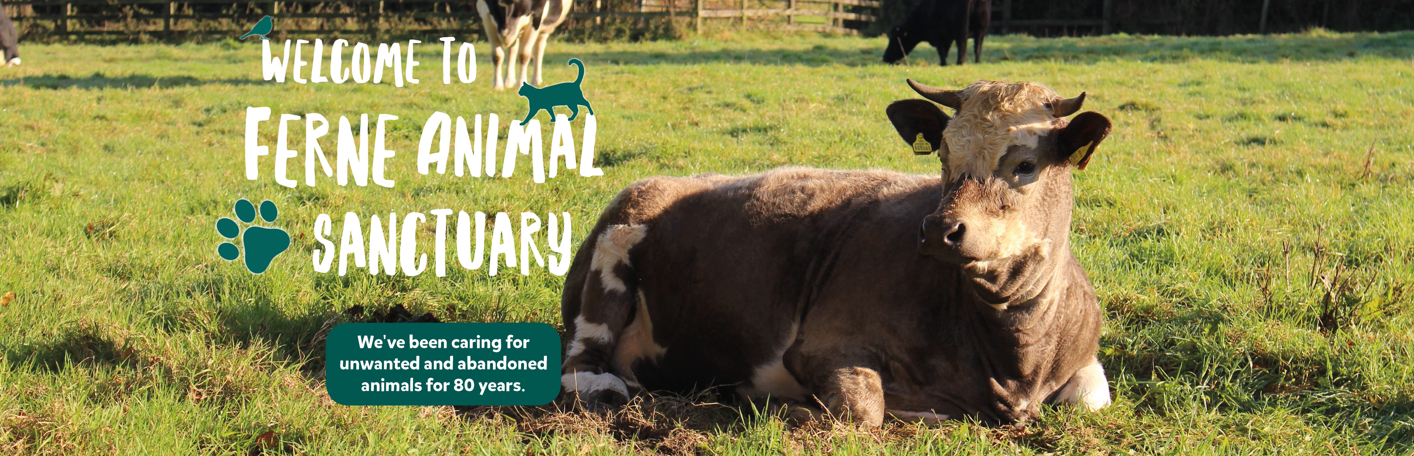 Rehome an animal Rehome an animal