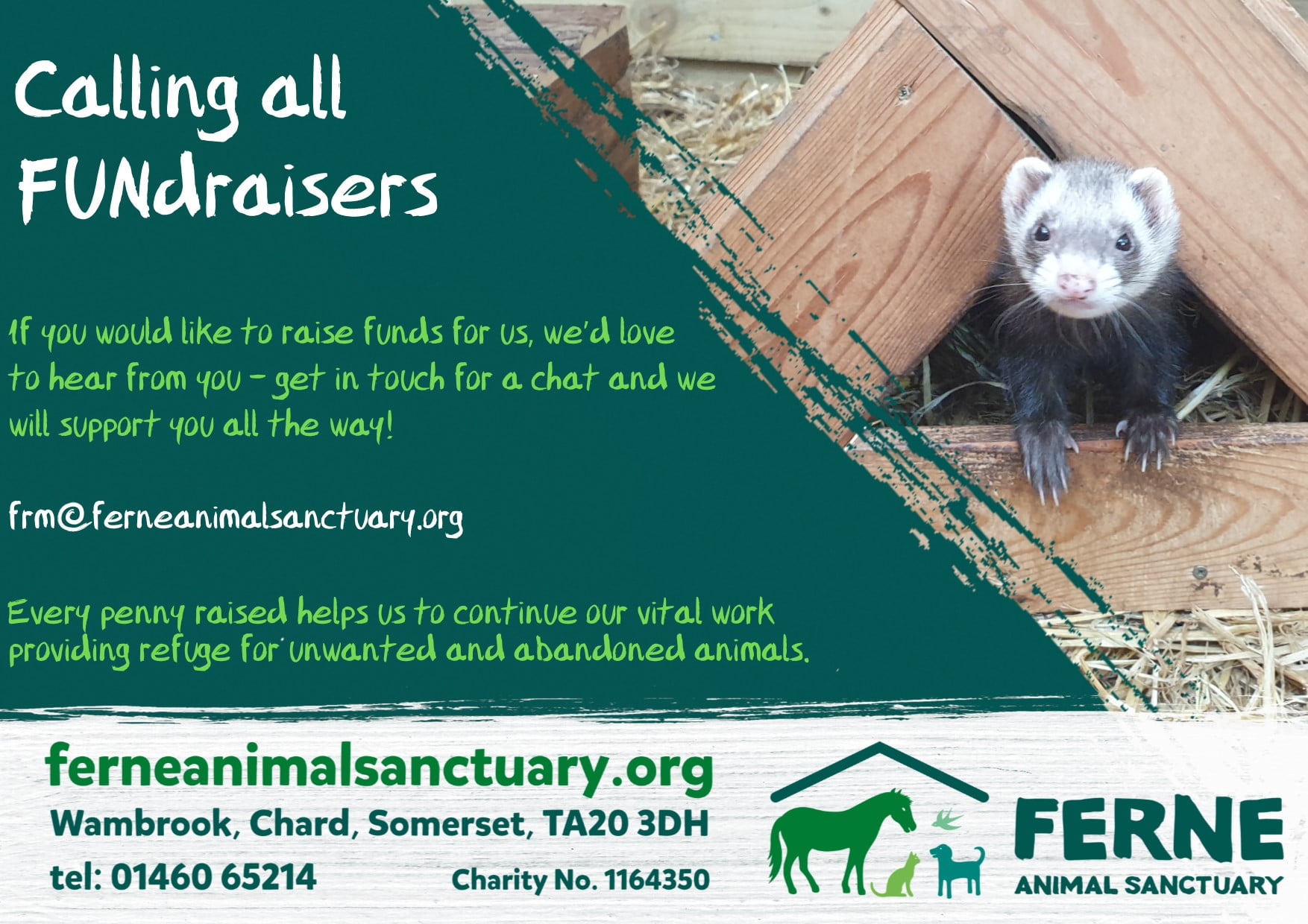 Organise your own fundraising event in aid of Ferne
