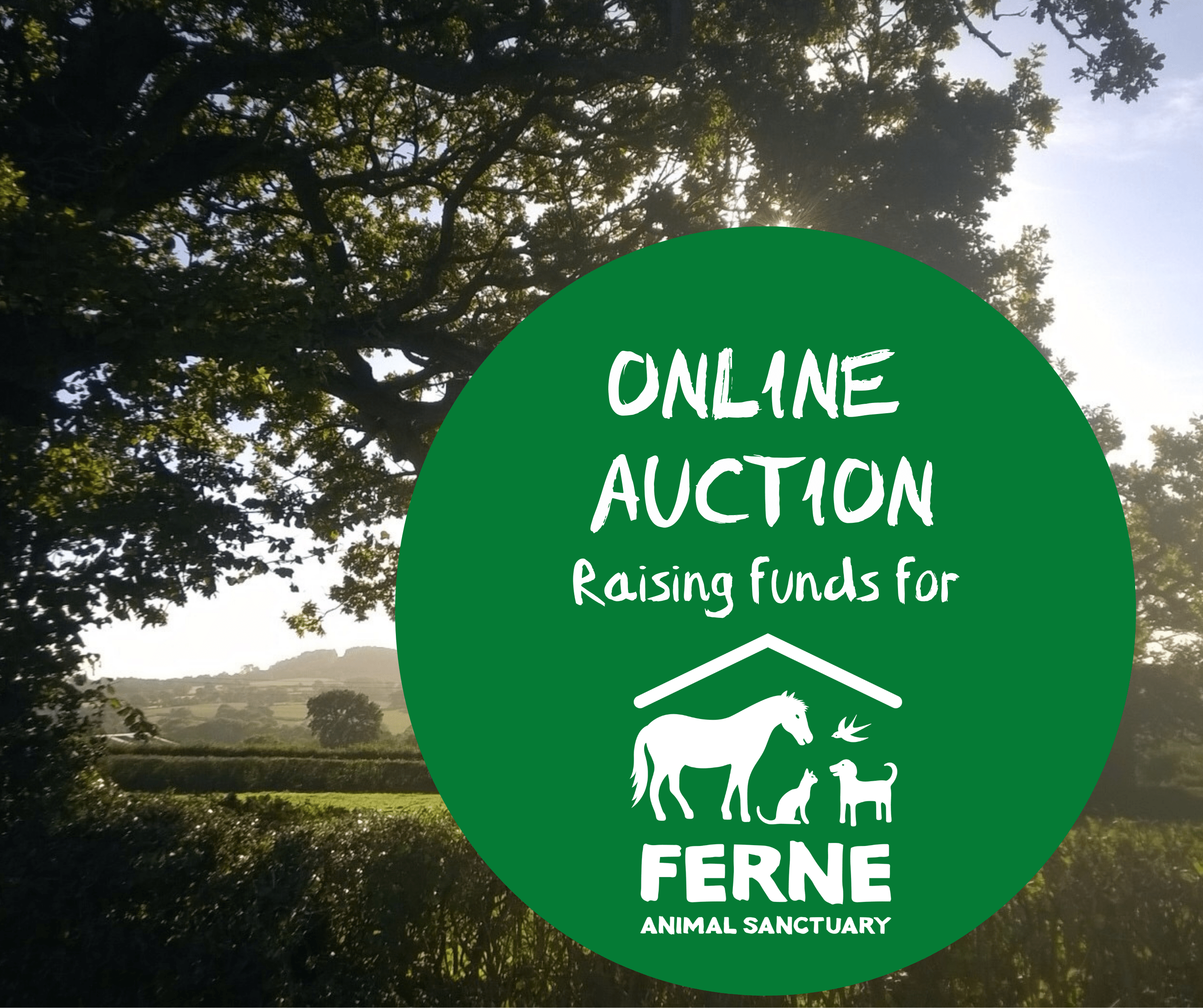 Online Auction Now Live