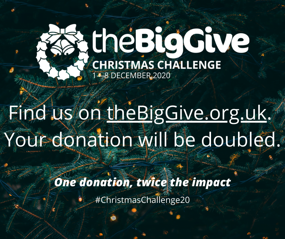 Our Big Give Campaign is now Live