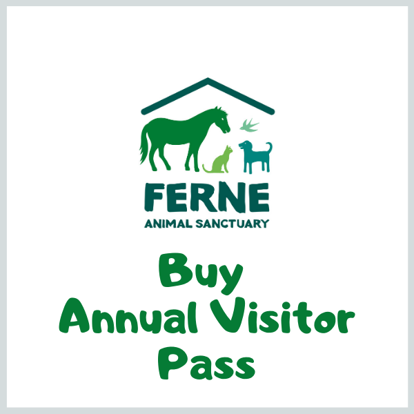 Annual Visitor Passes