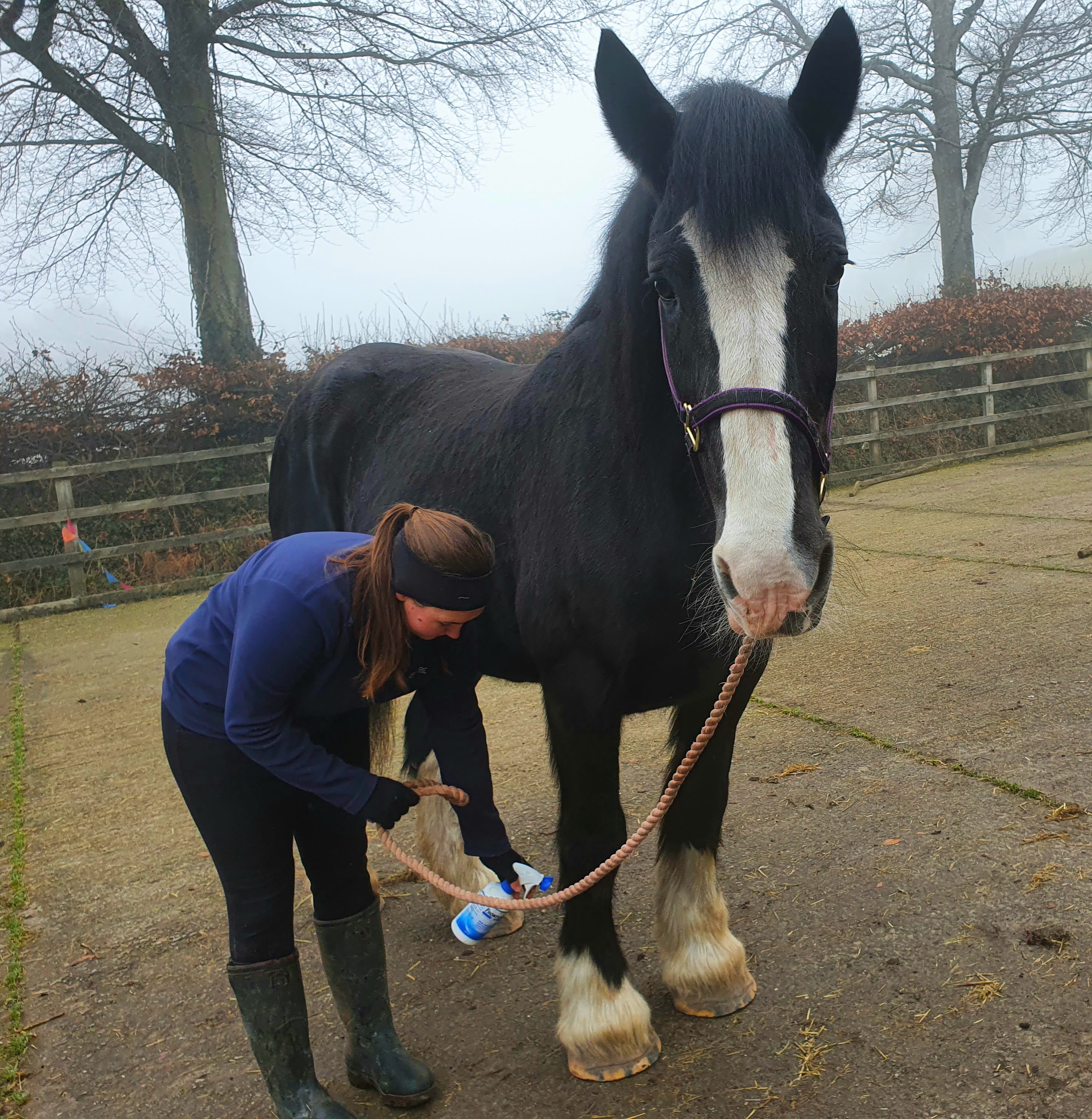 Help Ferne’s funds grow through your coffee to go