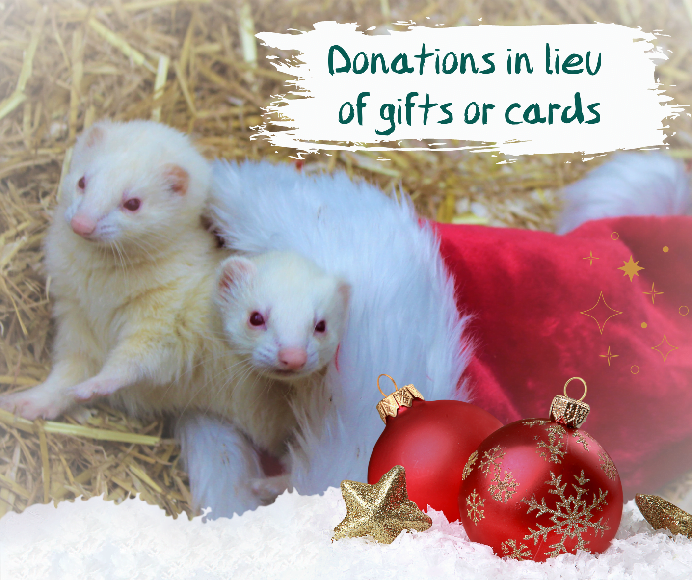 Donations in lieu of gifts or cards