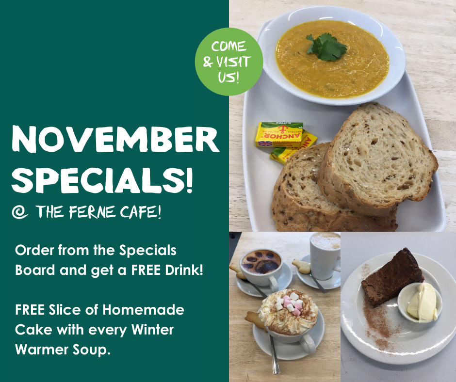 November Specials - Facebook Post