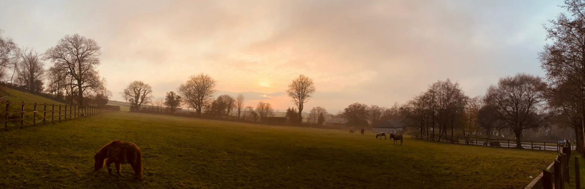 Untitled design Ferne Animal Sanctuary countryside view
