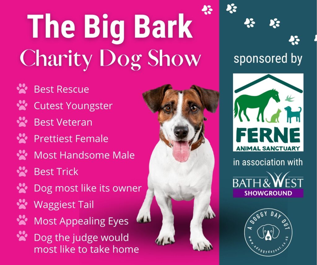 The Big Bark Results! | Ferne Animal Sanctuary
