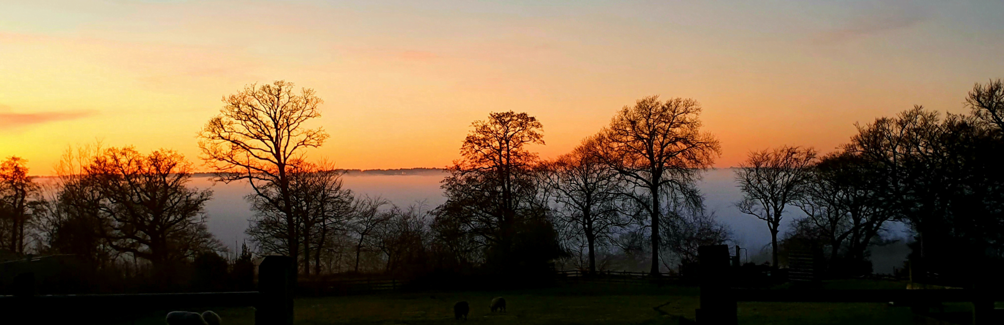 Untitled design (4) Ferne Animal Sanctuary countryside view