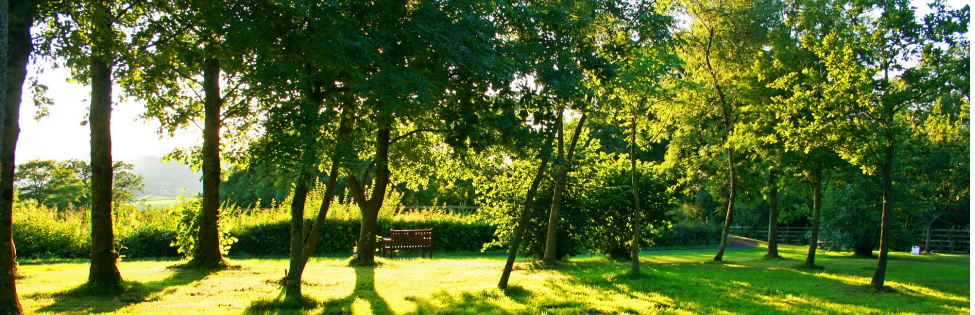 Untitled design (7) Ferne Animal Sanctuary countryside view