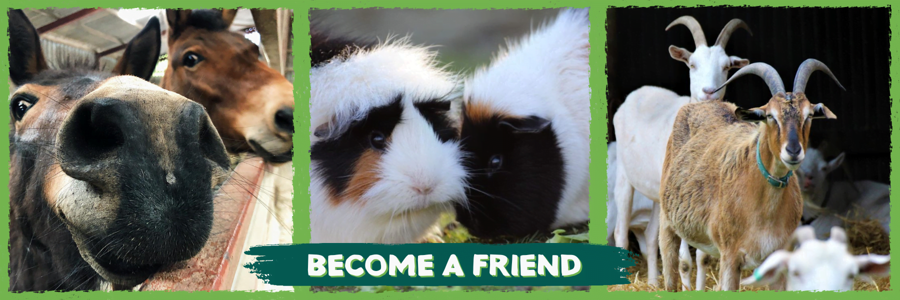 become a friend(1) Ferne Animal Sanctuary banner_dog_with_lead