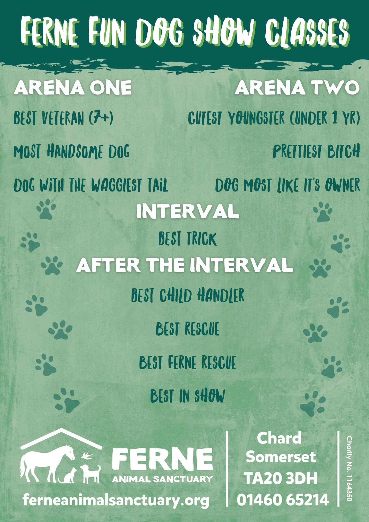Our Ferne Fun Dog Show Classes!