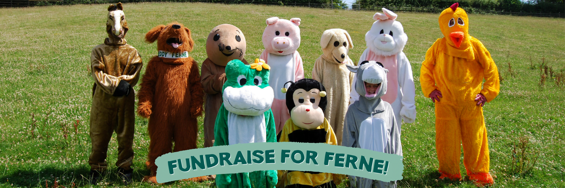 FUNDRAISE FOR FERNE A foal at Ferne Animal Sanctuary