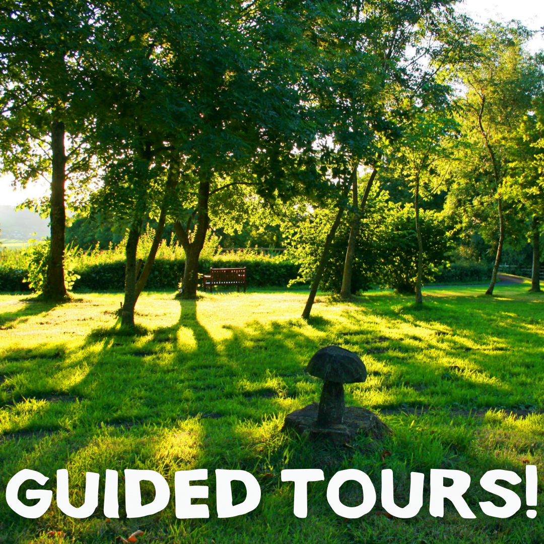 Guided Tours