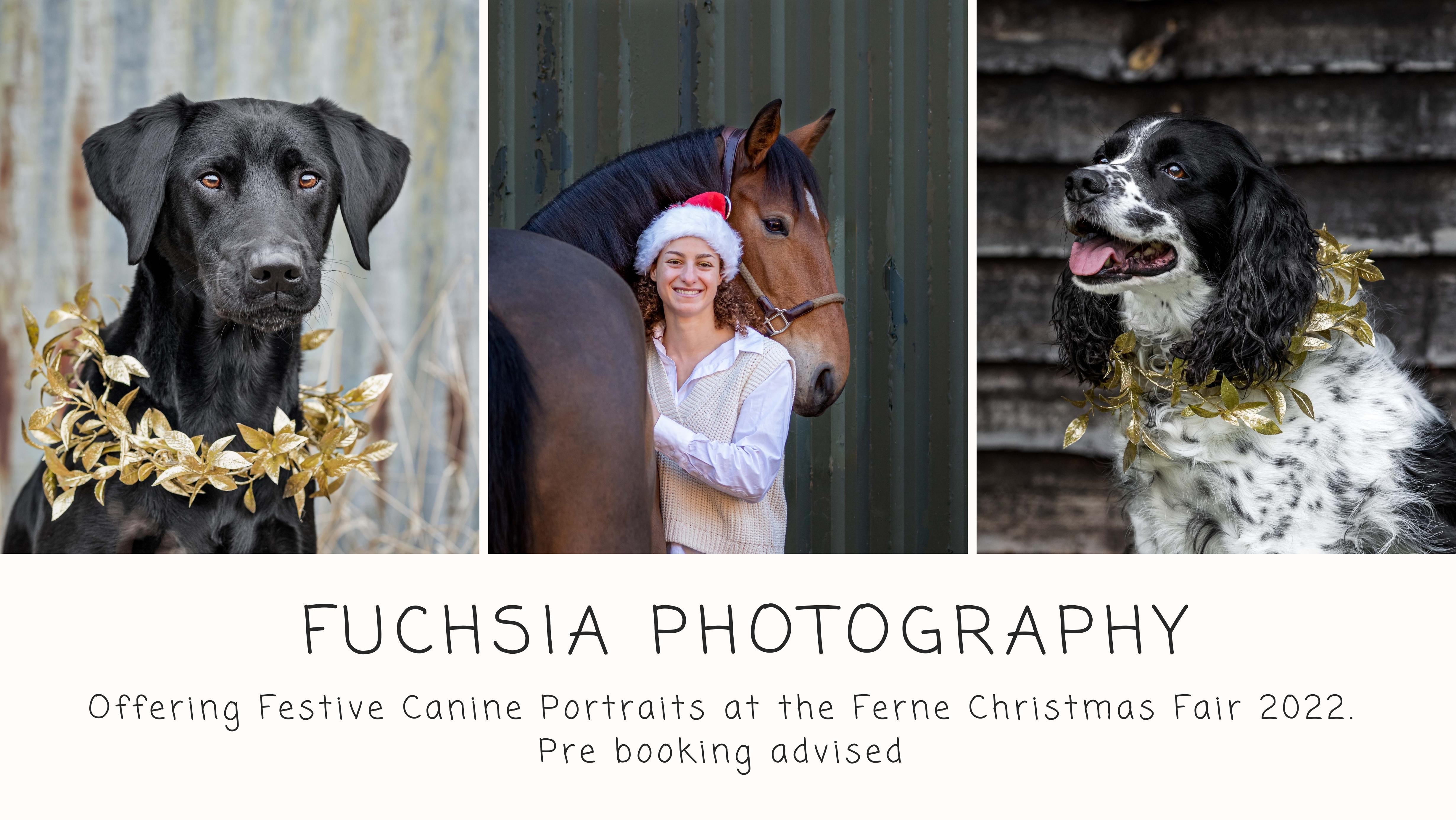 Fuchsia Photography @ Ferne!