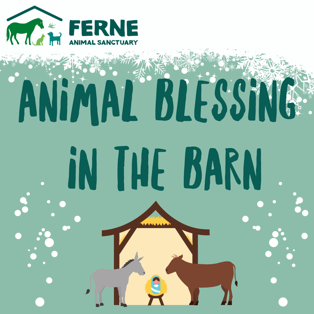 Animal Blessing in the Barn