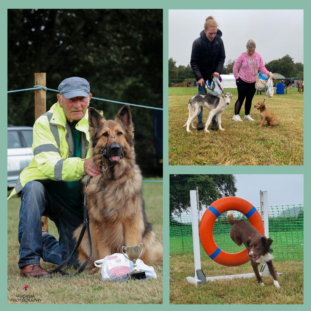 Ferne Dog Show