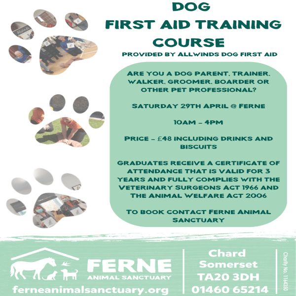 Dog First Aid Training Course