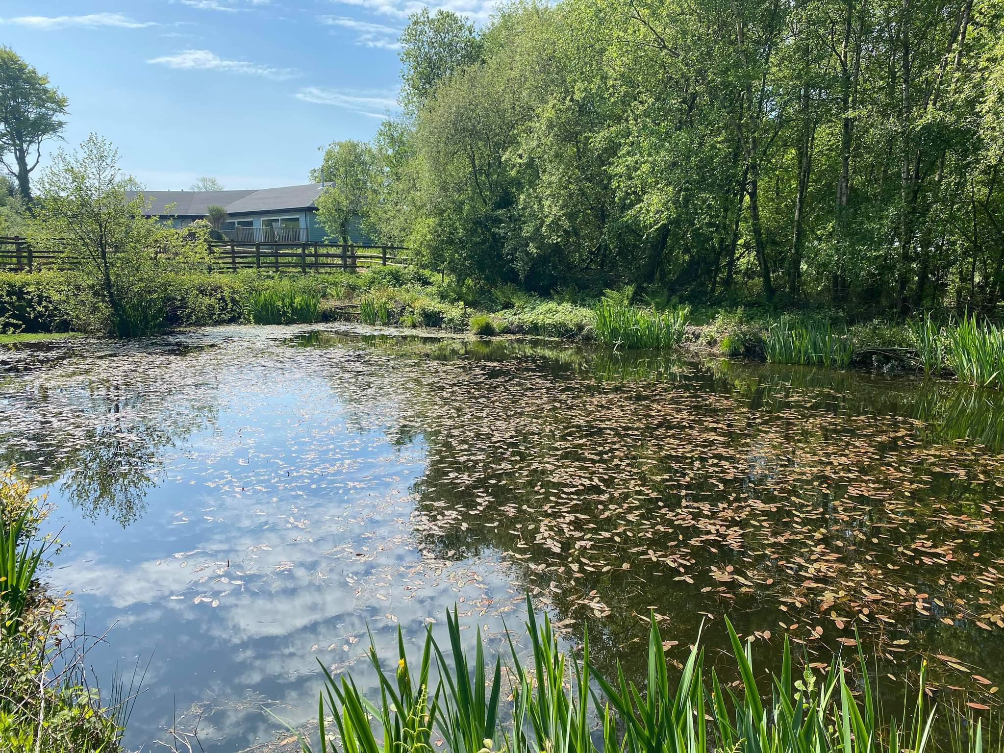 Changes afoot at Ferne Animal Sanctuary