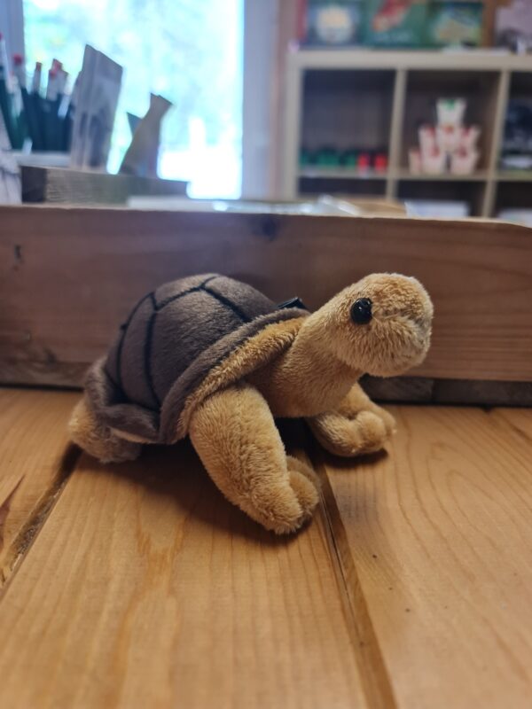 Tortoise Soft Toy