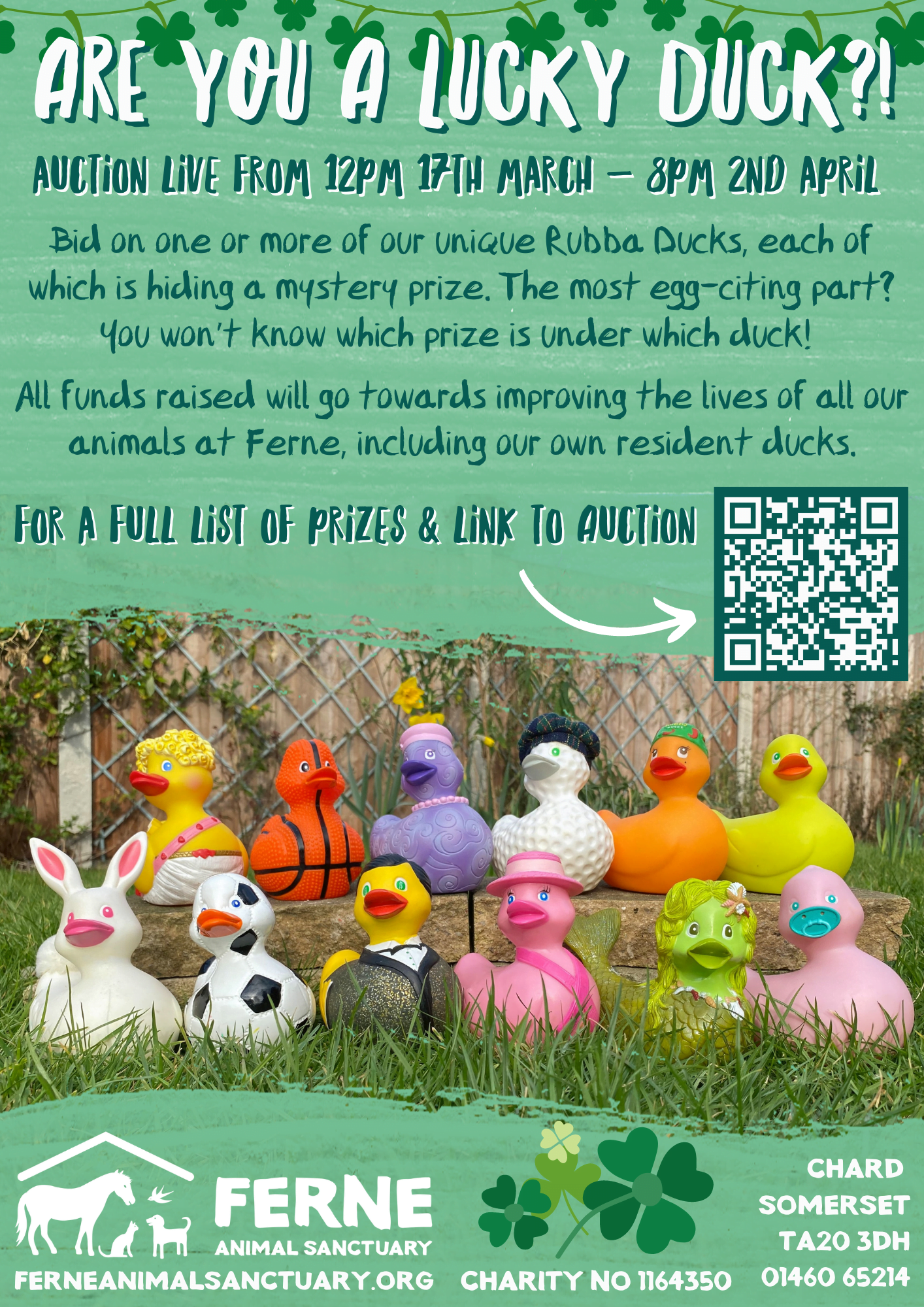 Lucky Ducks