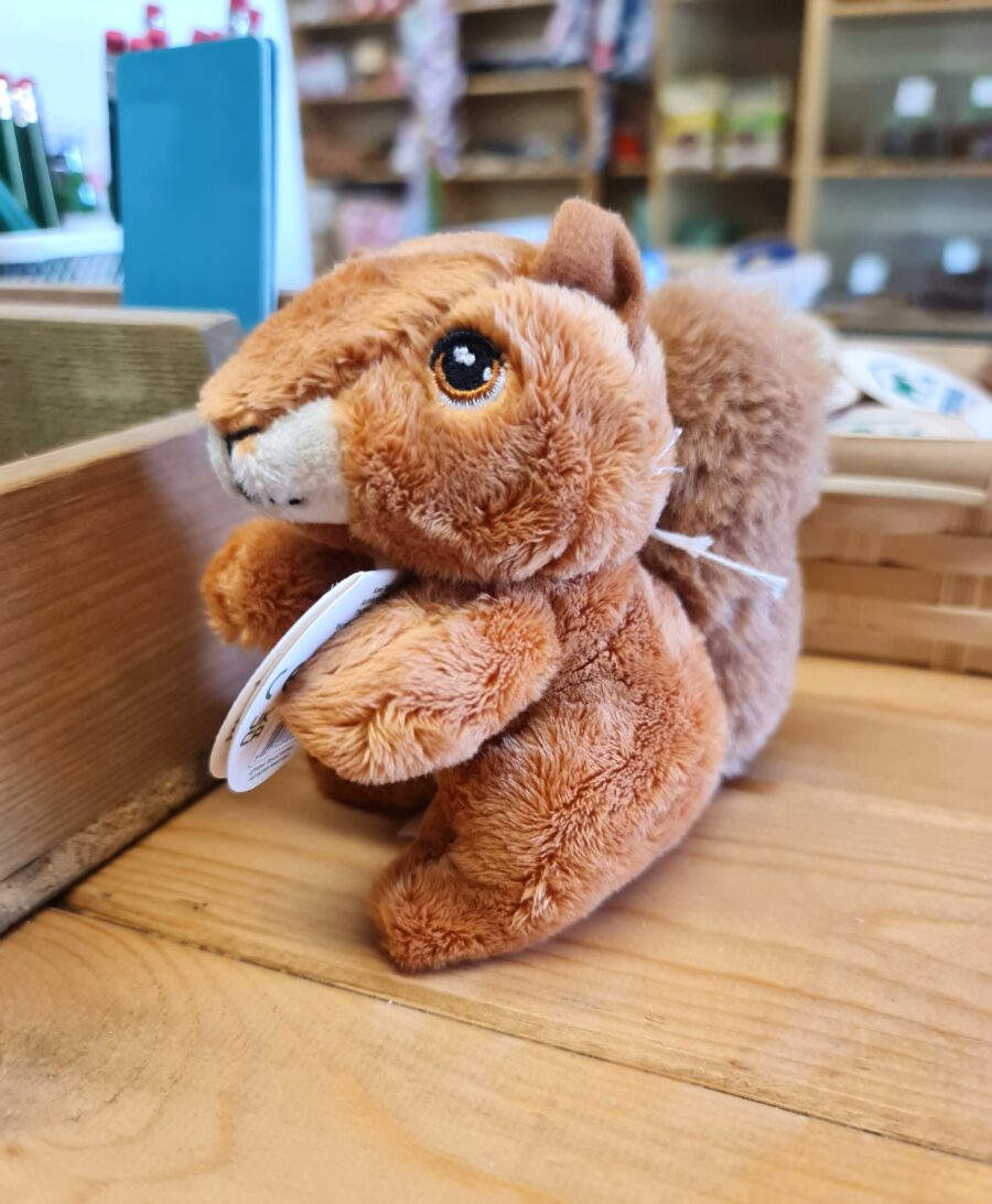 Small Squirrel Soft Toy
