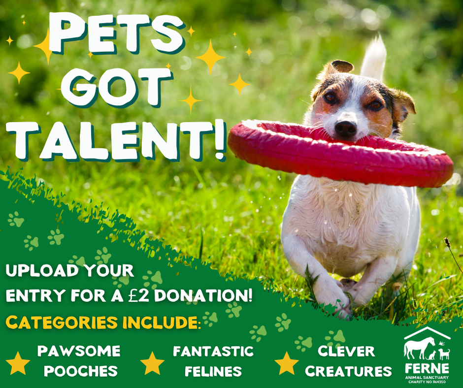 Ferne’s Paw-some Pets Got Talent!