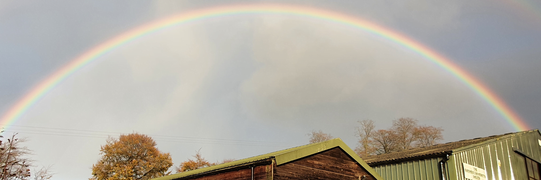 Ferne Animal Sanctuary countryside view