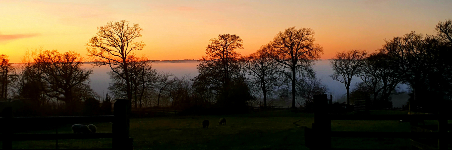 Ferne Animal Sanctuary countryside view