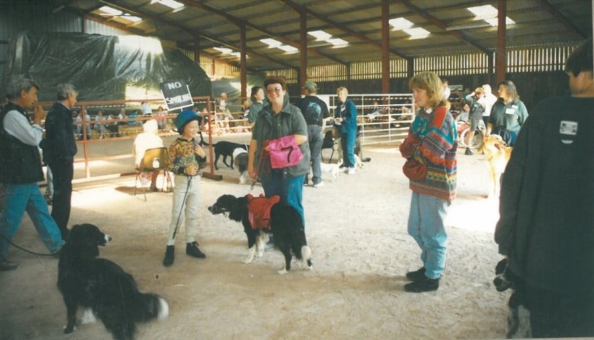 1994