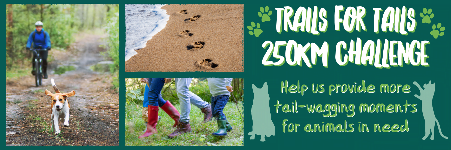 TRAILS FOR TAILS 250KM CHALLENGE Ferne Animal Sanctuary countryside view