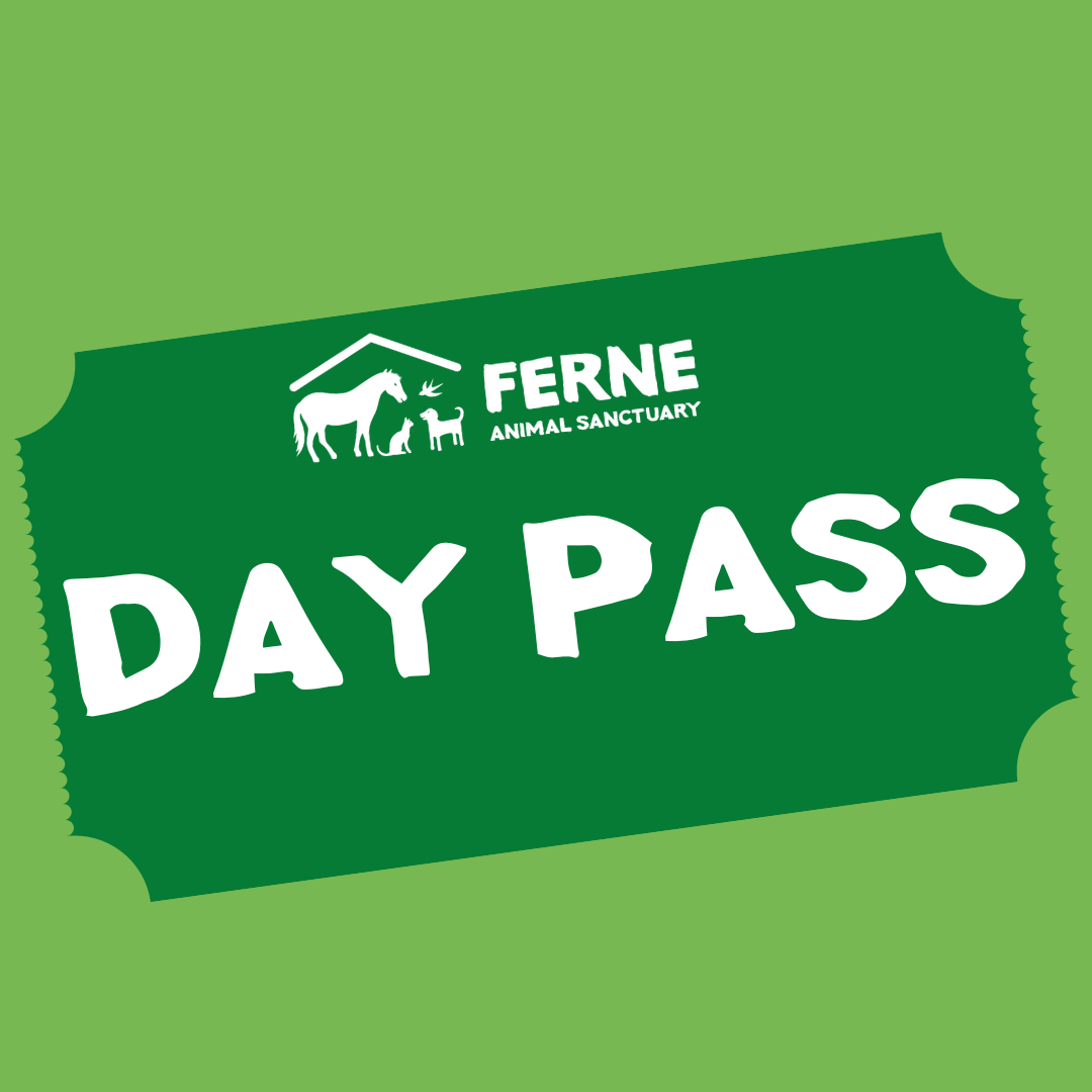 Day Pass