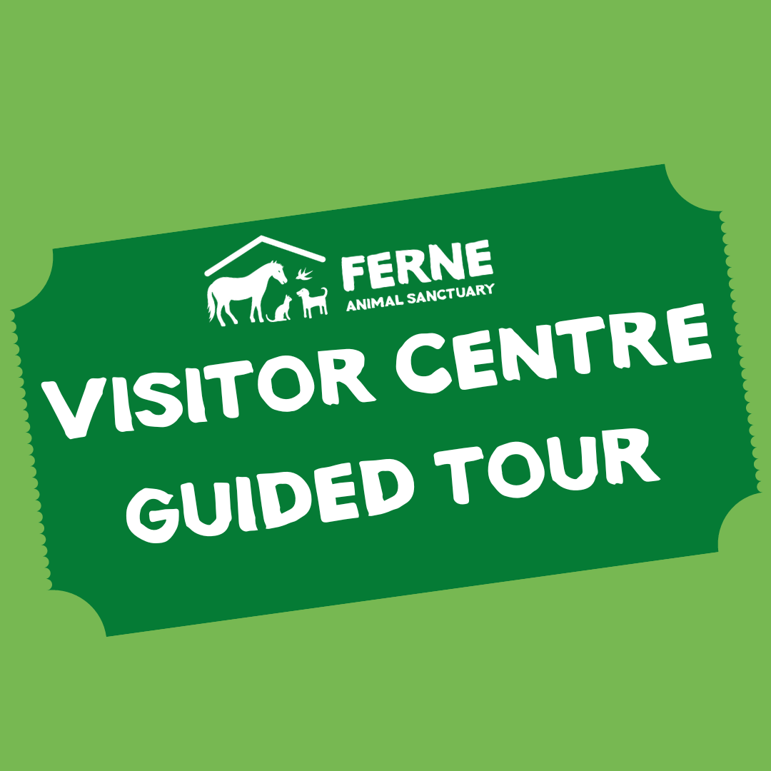 Visitor Centre Tickets