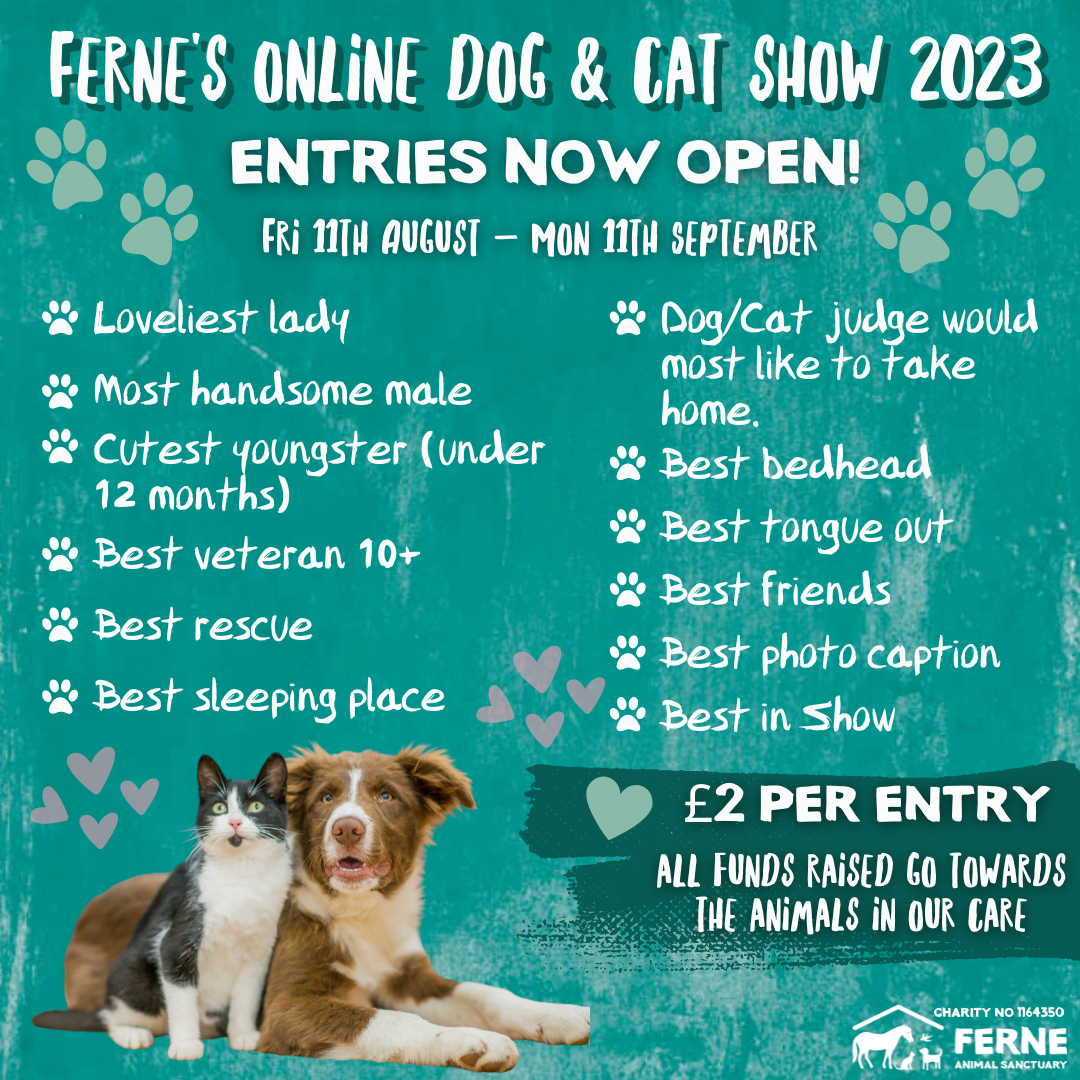 Ferne’s Online Dog and Cat Show 2023!