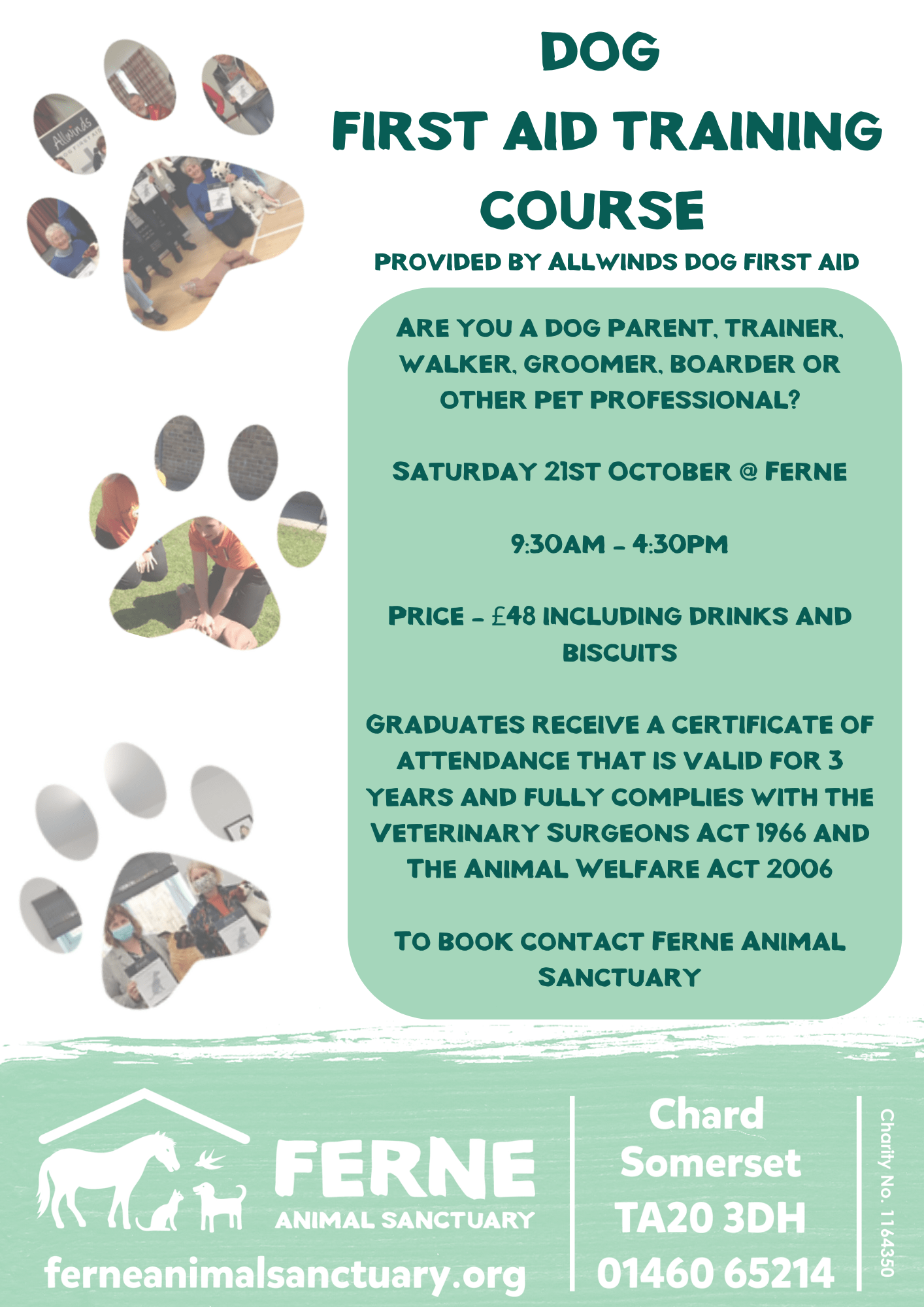 Dog First Aid Training