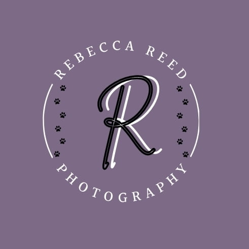 rebecca reed photography