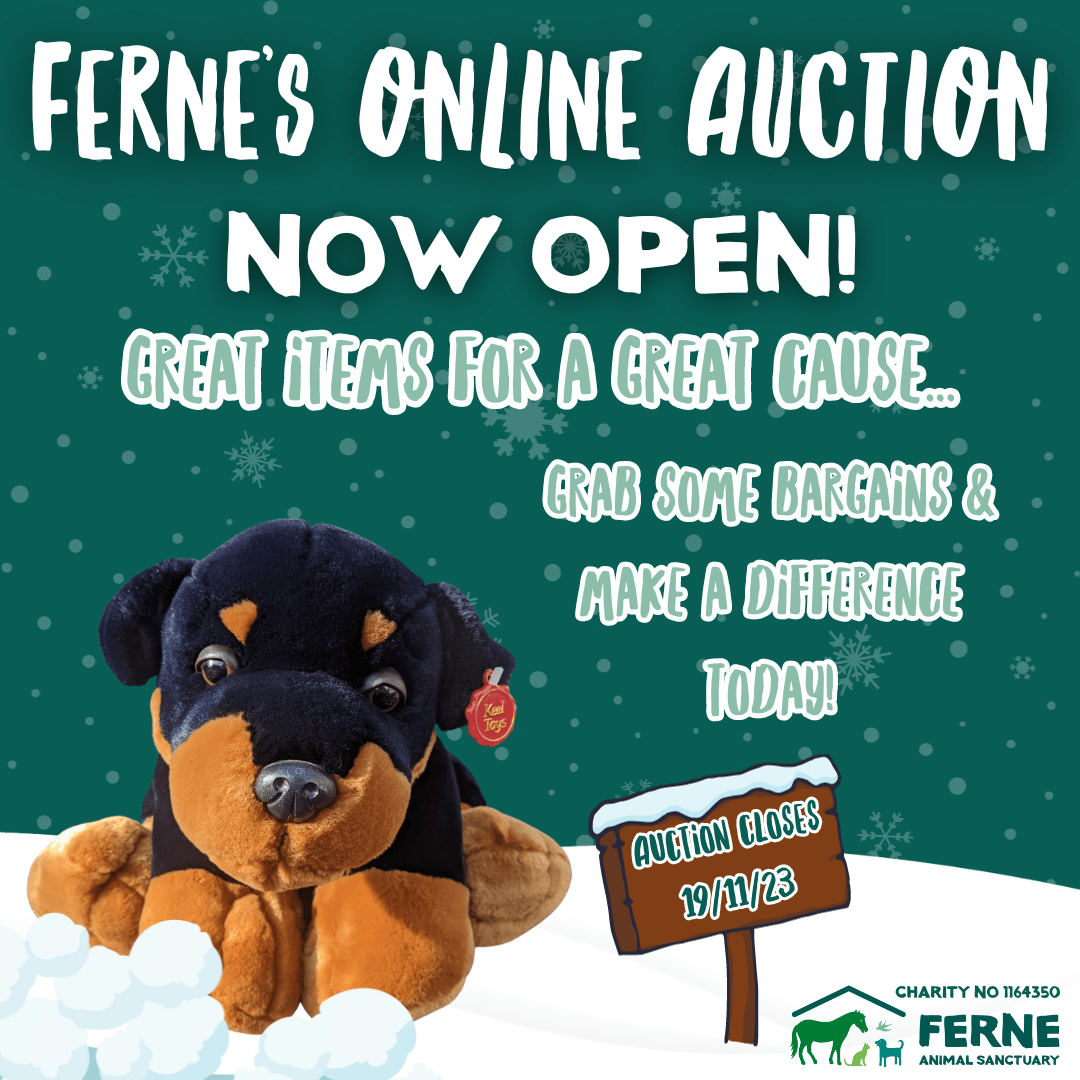 Ferne Animal Sanctuary’s Online Auction is Now Live!