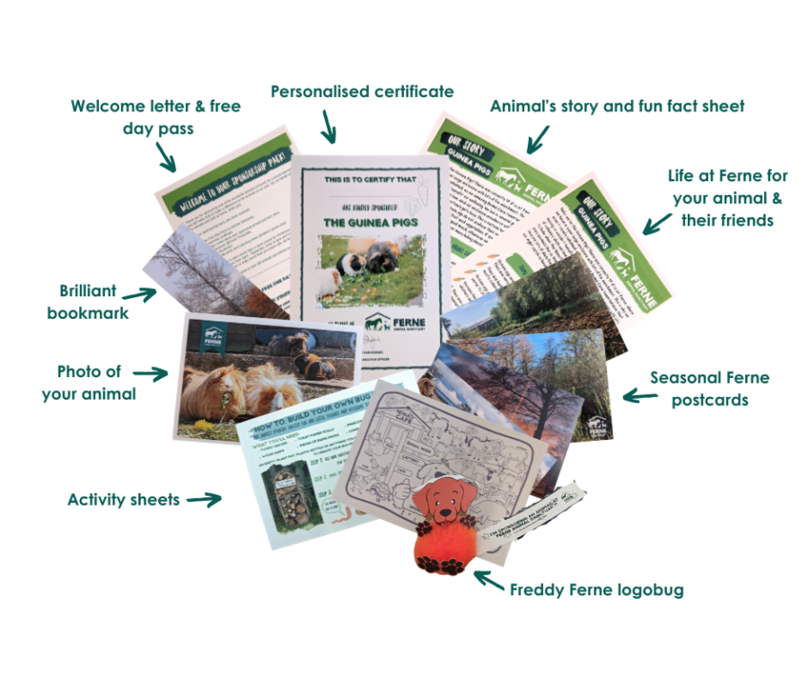 Sponsor An Animal