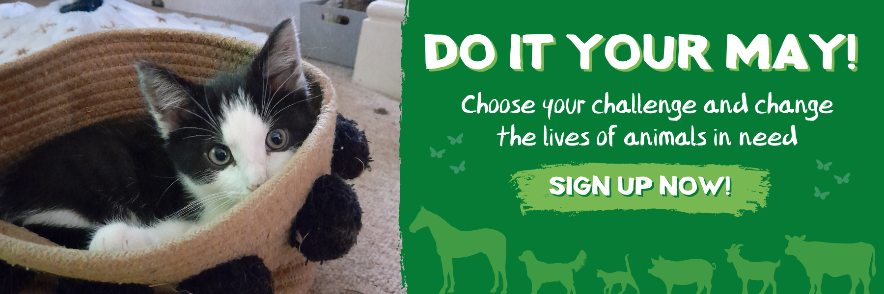 DO IT YOUR MAY! (1) Ferne Animal Sanctuary countryside view