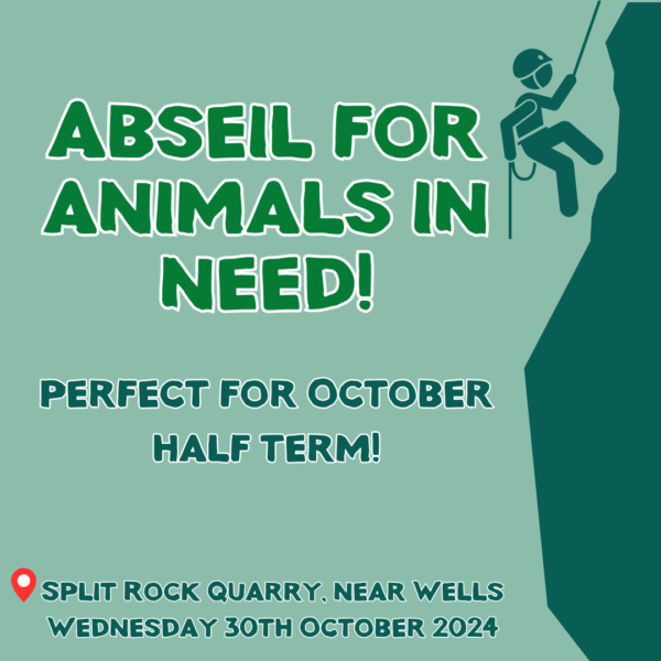 Abseil - October Half Term