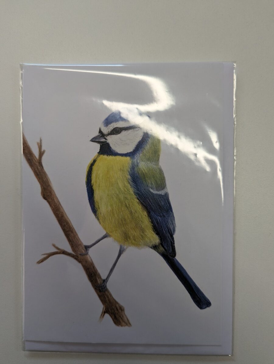 Blue-tit Card