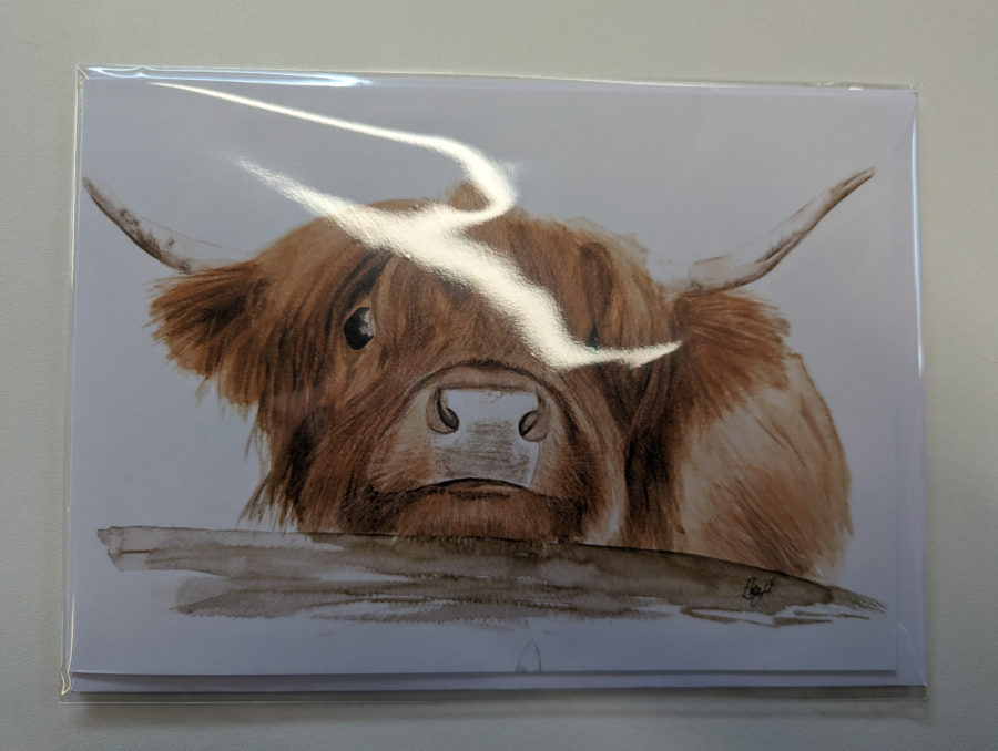 Highland Cow Card