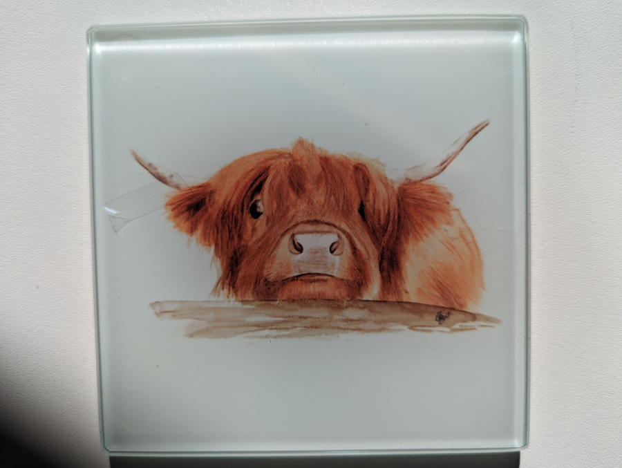 Highland Cow Coasters- set of 4