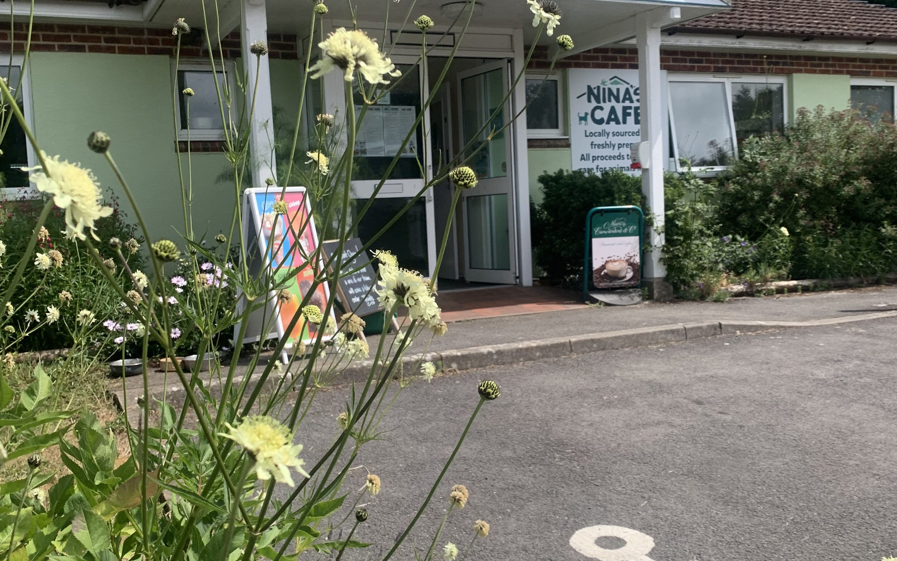 Nina’s Café, Ferne Animal Sanctuary – Announcement