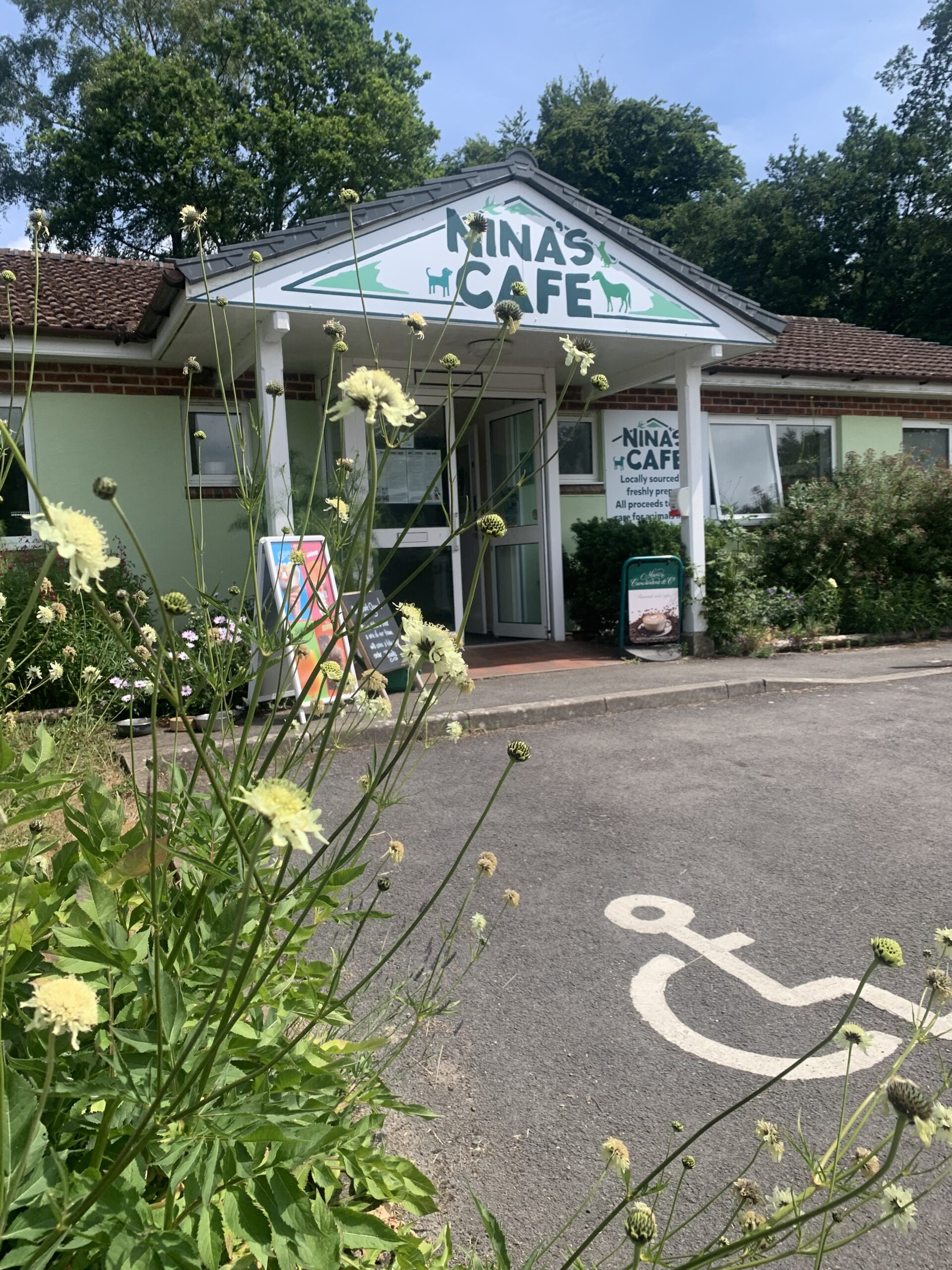 Nina’s Café, Ferne Animal Sanctuary – Announcement