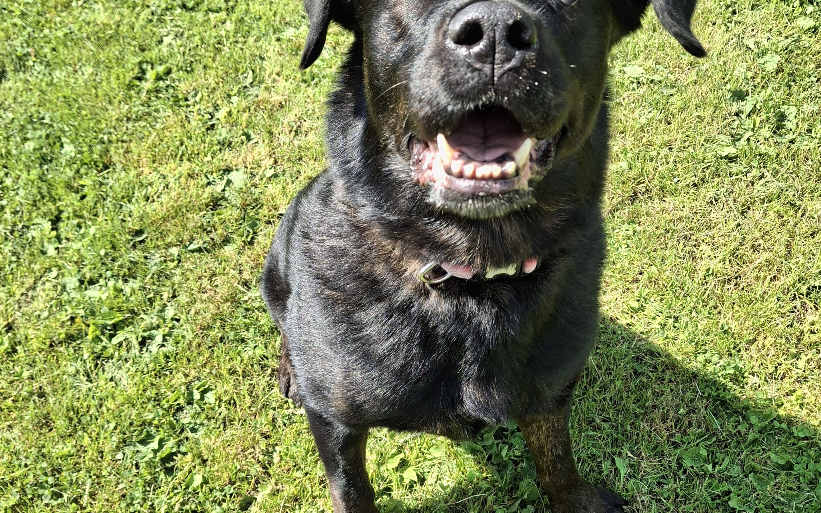 Molly