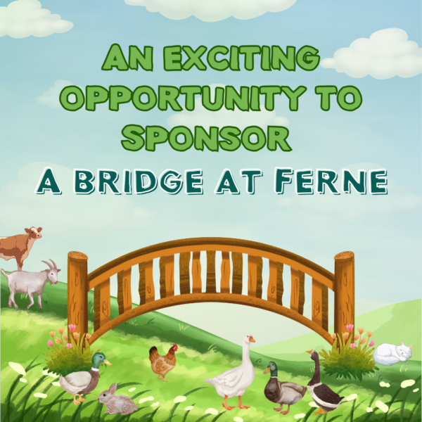 Sponsor a bridge at Ferne