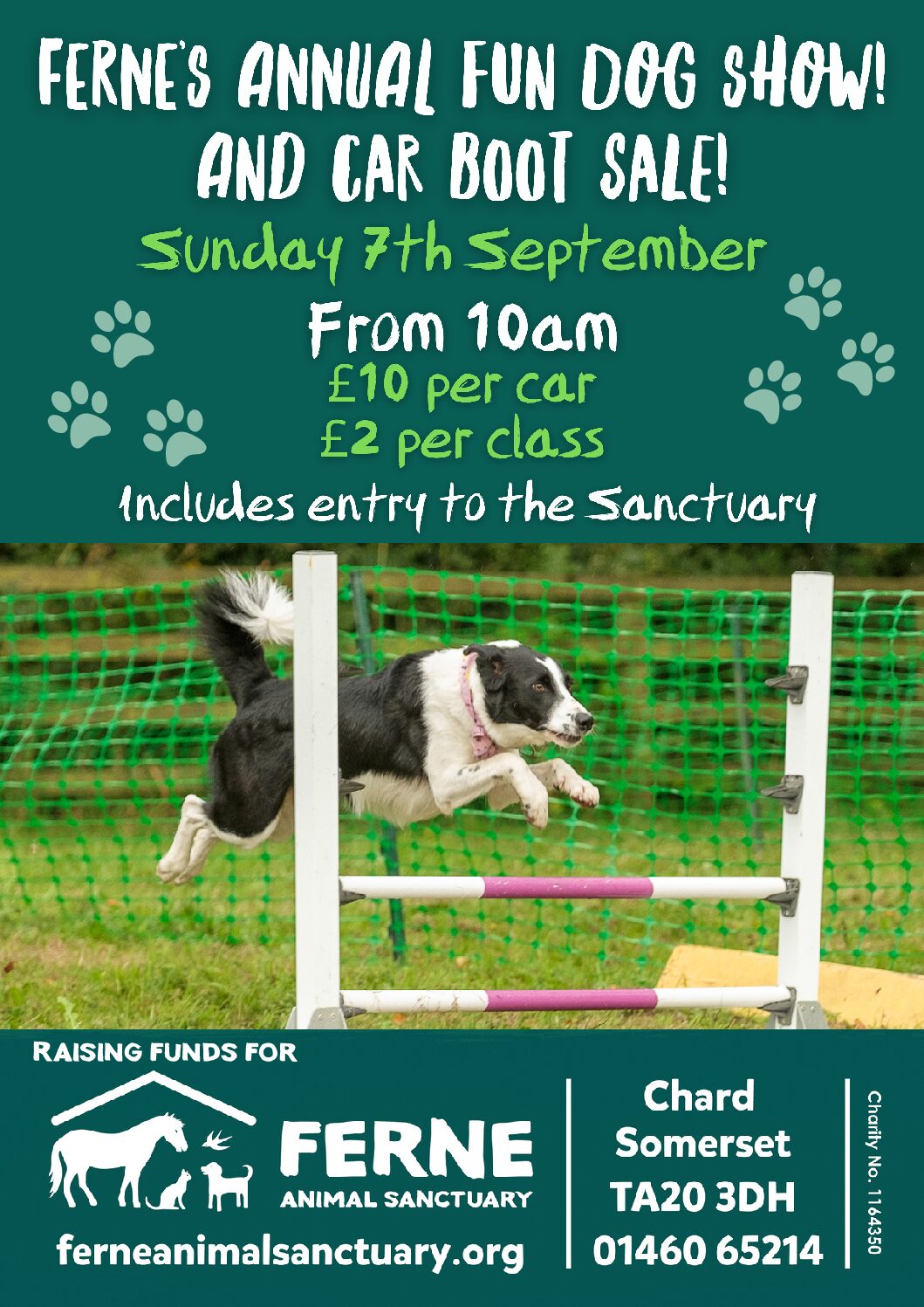 Ferne Dog Show (1)