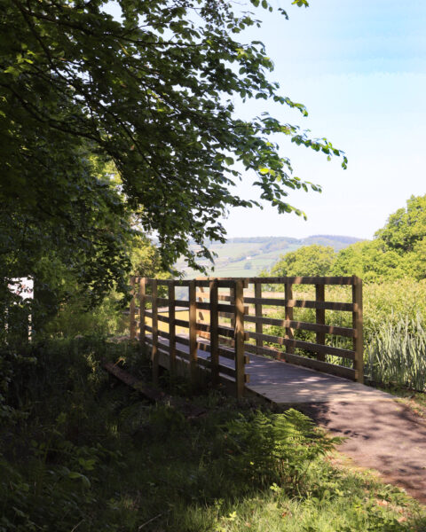 Sponsor a bridge at Ferne