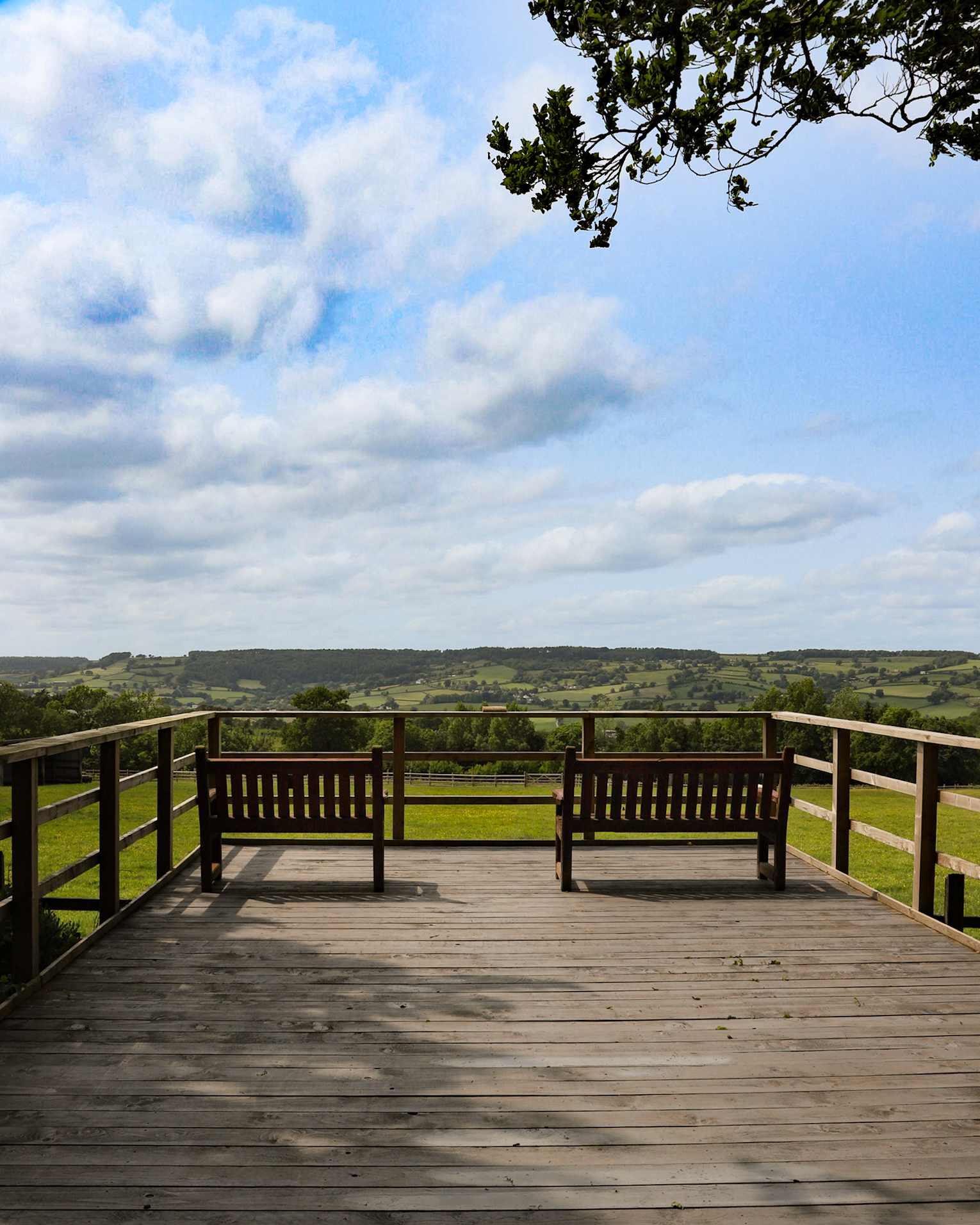 The viewing platform at Ferne Visiting Ferne Animal Sanctuary